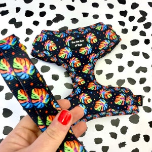 May include: A black dog harness and matching lead with a rainbow tie-dye pattern featuring tropical leaves. The harness has a label that reads "For the Love of Toys".