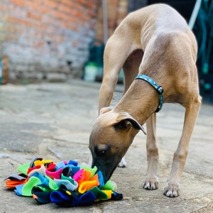 Multi Colour Feast Fleece Enrichment Mat Snuffle Mat for Dogs Cats Hedgehogs Canine Enrichment. Slow feeder. Mental stimulation for dogs image 6