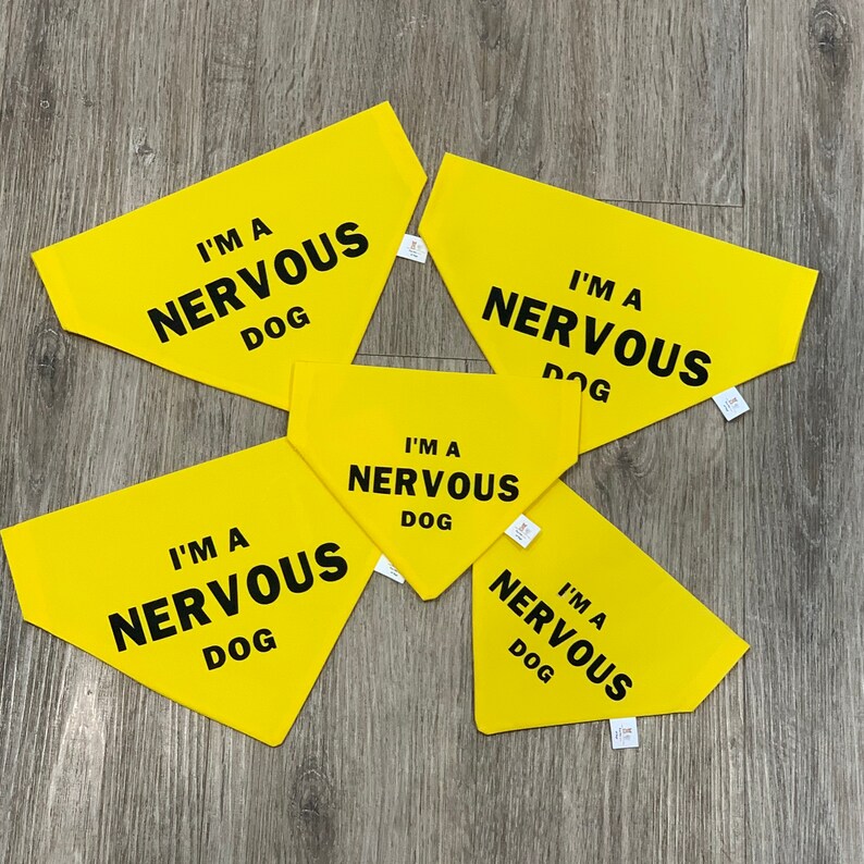 Im a Nervous Dog Yellow Cotton Slip Collar Dog Bandanna Etsy UK