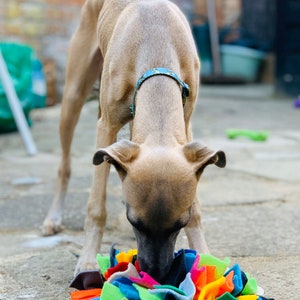 Multi Colour Feast Fleece Enrichment Mat Snuffle Mat for Dogs Cats Hedgehogs Canine Enrichment. Slow feeder. Mental stimulation for dogs image 4