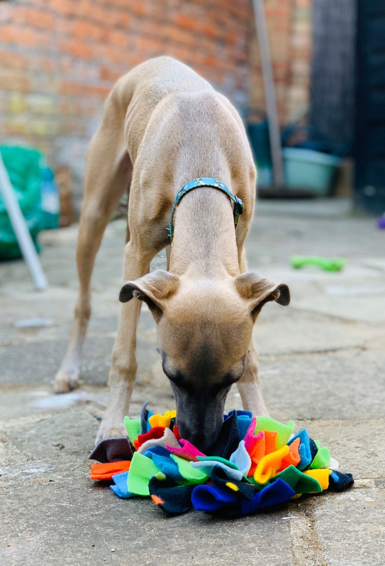 Multi Colour Feast Fleece Enrichment Mat Snuffle Mat for Dogs Etsy