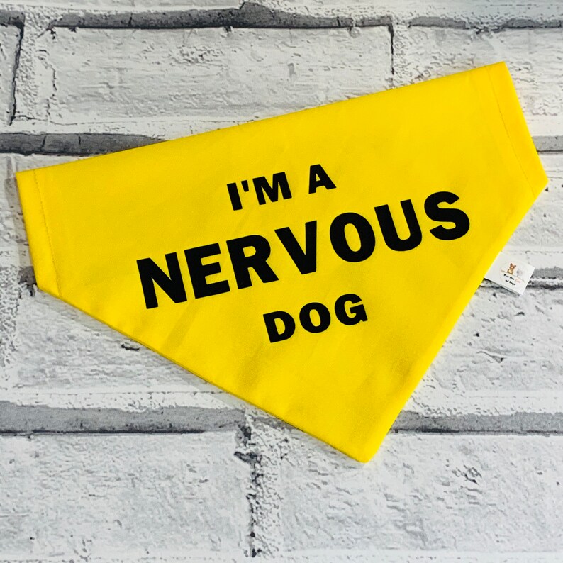 Im a Nervous Dog Yellow Cotton Slip Collar Dog Bandanna Etsy UK