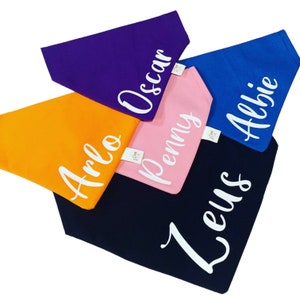 Dog / Cat Personalized Name  Bandana Color Block Neckerchief Bandana for Dogs  slip collar srange of colours 1 WORD ONLY