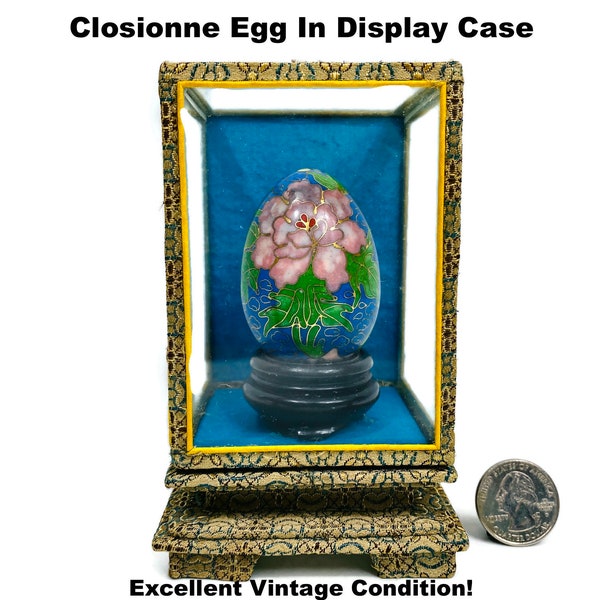 Egg Display Case Etsy