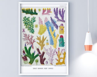 Acropora Coral, Digital Download, Coral Poster, Coral Art, Vintage Science Art, Printable Art, Coral, Great Barrier Reef, Marine Biology