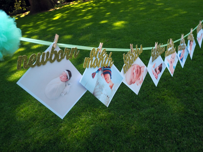 Newborn to twelve monthly photo banner. First Birthday Garland. Pink and Gold 1st Birthday. 12 Month Photo Wall Banner. 