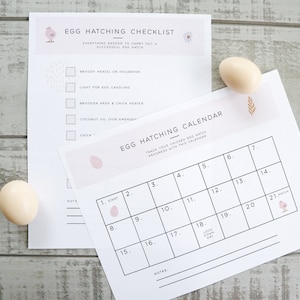 Printable Egg Hatching Checklist Kit With Calendar, Egg Calendar, Hatching Prep Checklist, Printable Chicken Calendar, Hatching Egg List