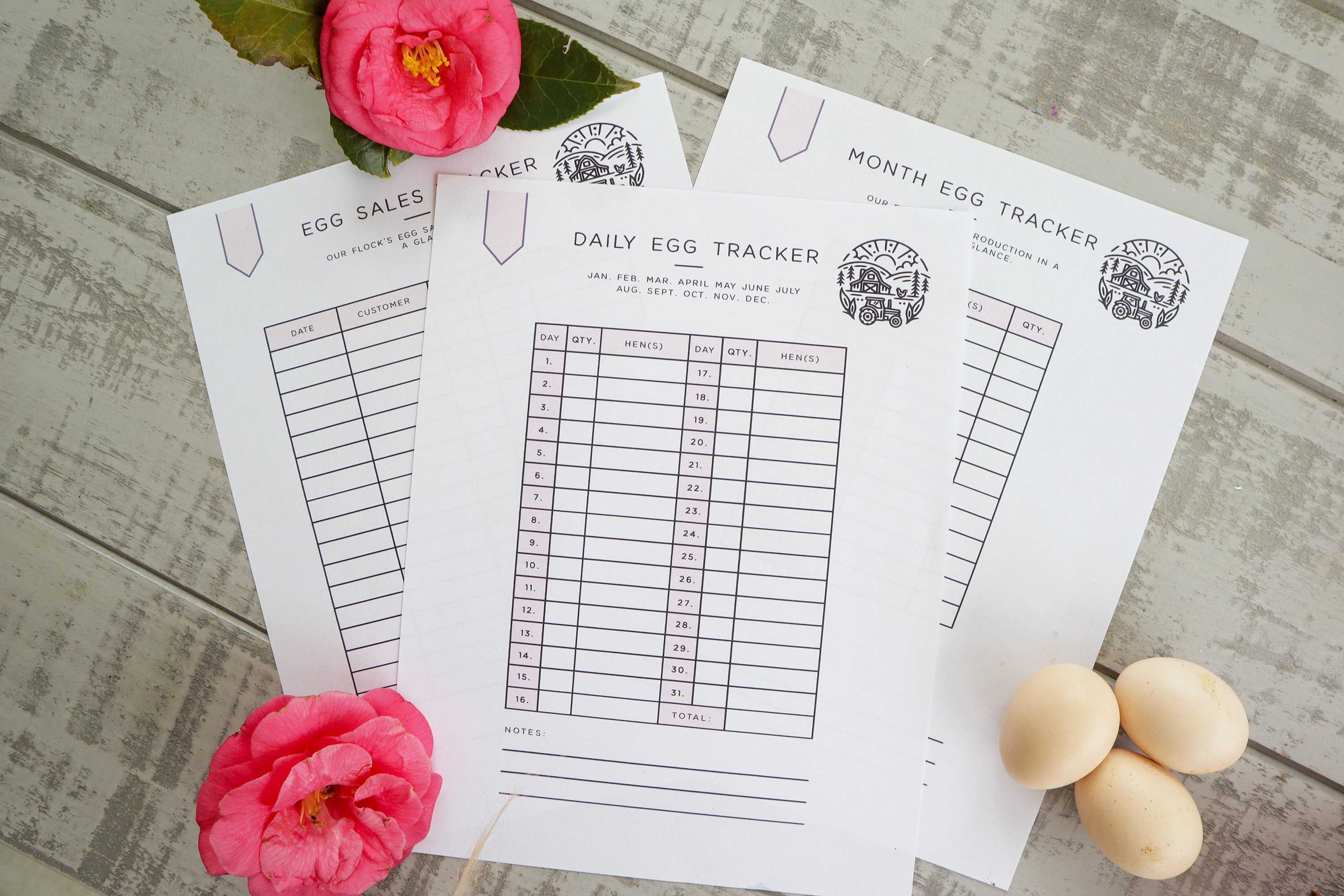 Printable Egg Tracker Bundle, Egg Sales Tracker, Flock Egg Tracker, Backyard Chicken Egg Production Tracker, Egg Planner, Hen Egg Tracker