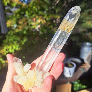 Puede incluir: Un grupo de cristales de cuarzo transparente con una punta grande y alargada y puntas más pequeñas. El cristal tiene una base natural y rugosa con inclusiones minerales amarillas y marrones. El cristal se sostiene en una mano.