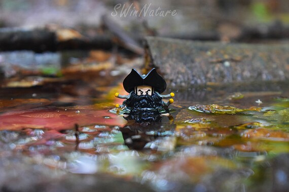 lego blackbeard minifigure
