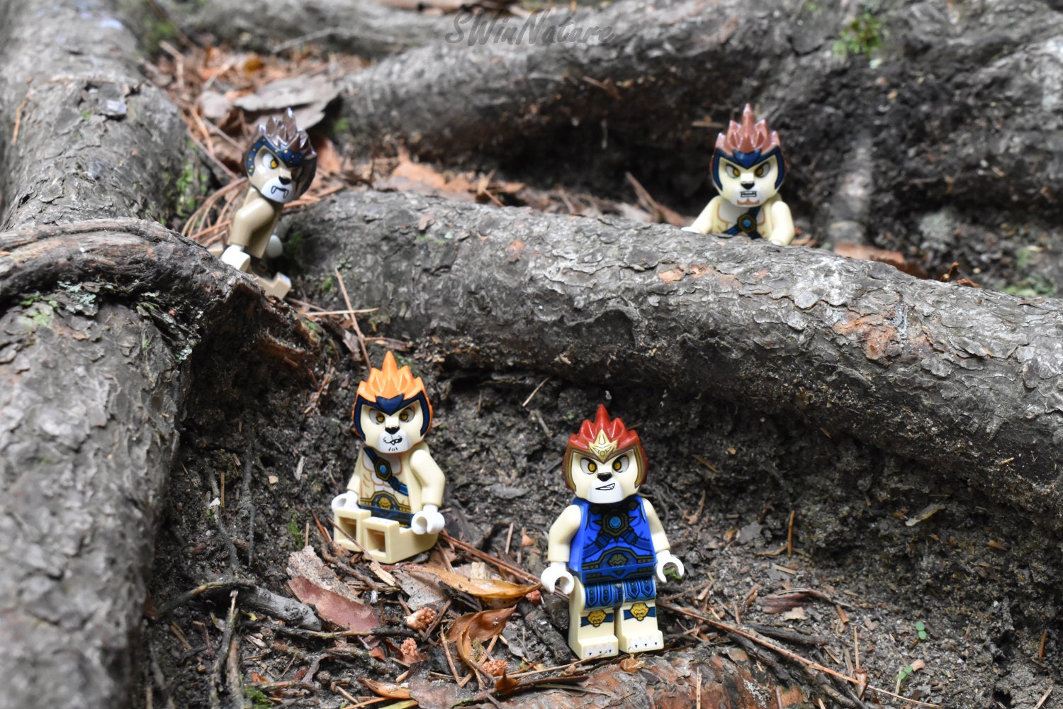 Lions Chima Lego Legos Photo Wall Etsy