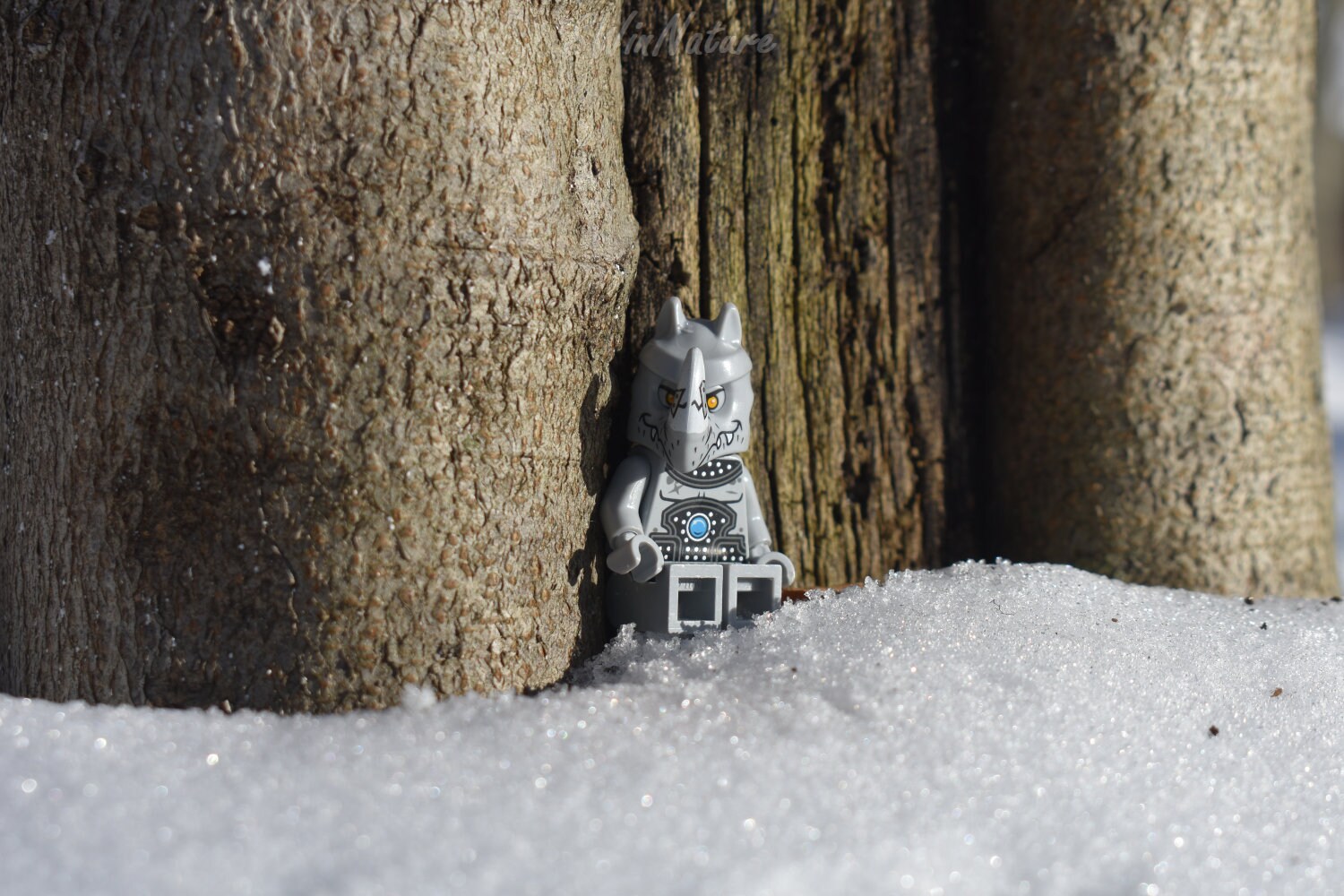 Rhino Lego Chima Legos Photo Wall Art Photography Nature Lego Etsy Rhino Lego Chima Legos Photo Wall Art Photography Nature Lego Etsy