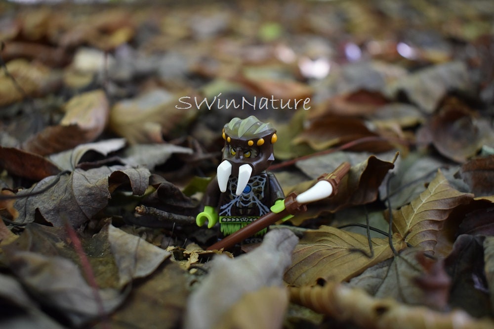 Spider Chima Lego Legos Photo Wall Art Photography Lego Etsy