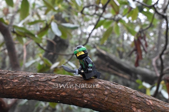 Ninja Lloyd Lego Legos Photo Wall Art Photography Nature Lego Etsy Ninja Lloyd Lego Legos Photo Wall Art Photography Nature Lego Etsy