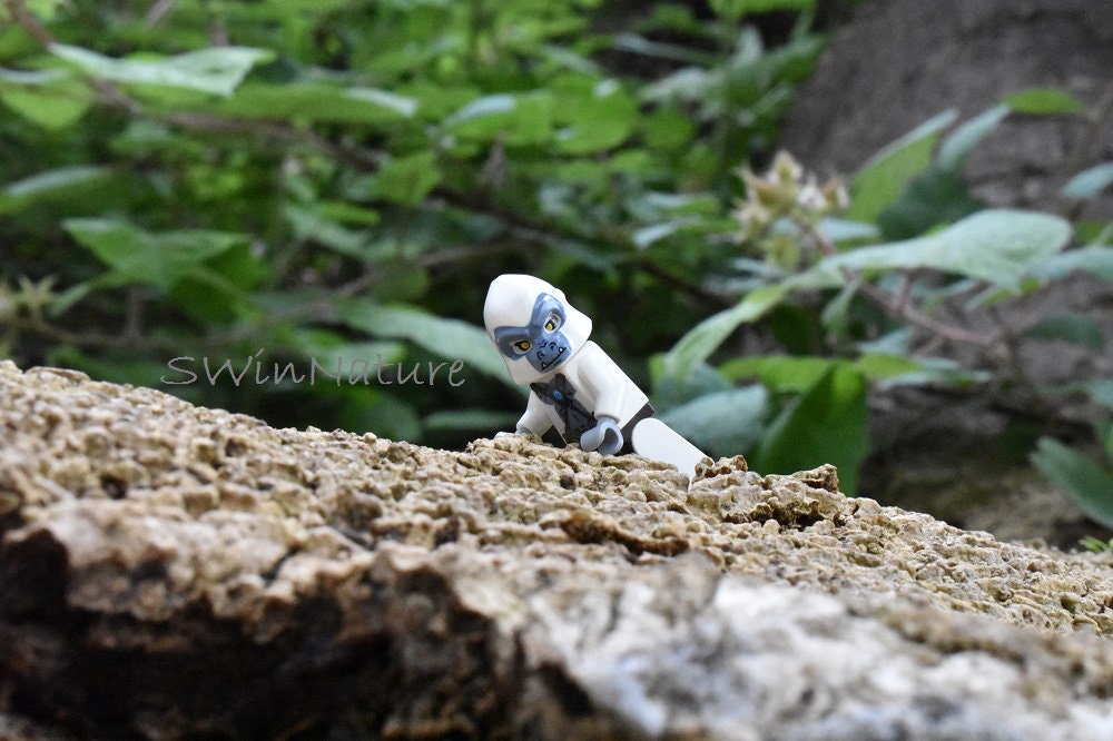 Gorilla Lego Chima Legos Photo Wall Etsy