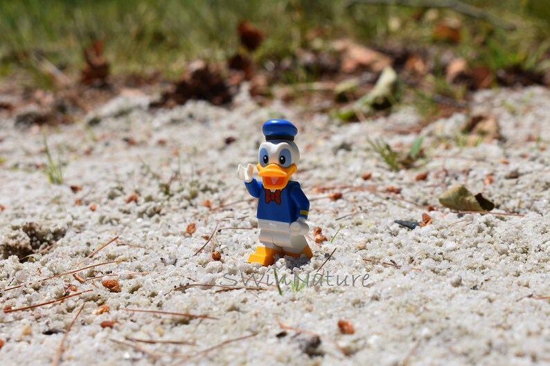 Beachy Duck Lego Legos Photo Wall Art Photography Nature Lego Etsy Beachy Duck Lego Legos Photo Wall Art Photography Nature Lego Etsy
