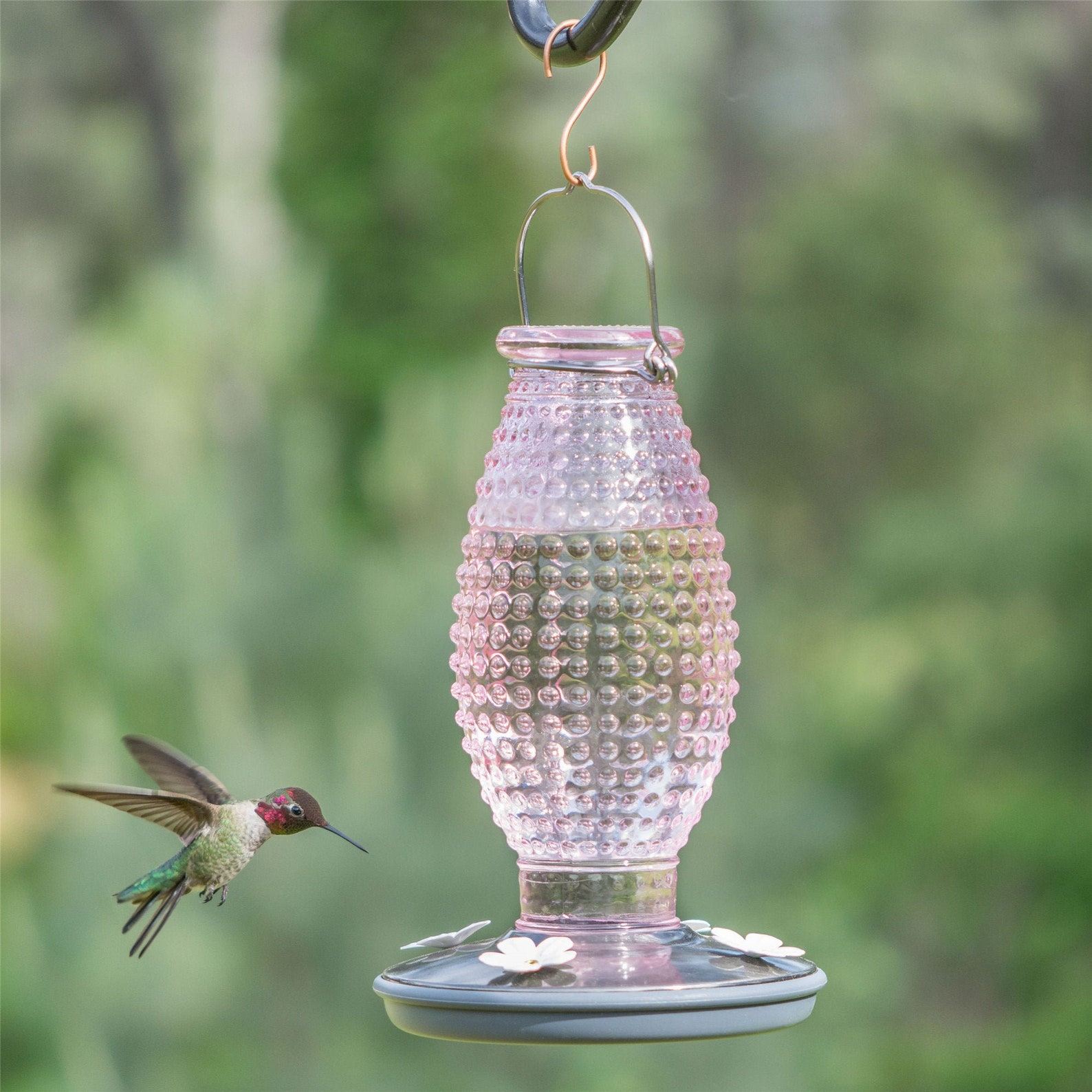 Hummingbird Feeder 16 Oz Cranberry Hobnail Vintage Etsy