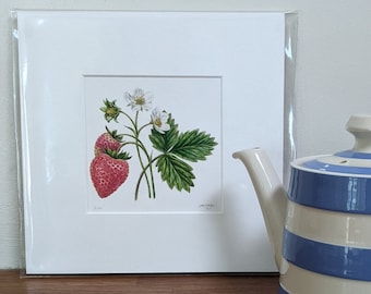 Strawberry Print / Strawberry plant Botanical Print / Limited Edition Giclée Print / Strawberry Fruit and Flower Picture / Kitchen wall art