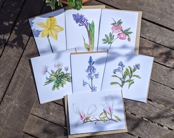 Conjunto de Cartões com Ilustrações de Flores da Primavera em Aquarela, 7 Cartões de Anotações Botânicas