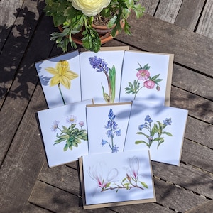 Selección de tarjetas de flores de primavera / 7 tarjetas de flores de primavera botánicas / Conjunto de tarjetas en blanco FSC / Tarjetas botánicas / Paquete de tarjetas de temporada