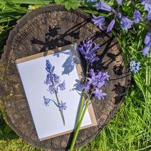 Glockenblume Karte / Glockenblume Karte / Frühlingsblumen Karte / FSC Blumen Grußkarte / Deborah Crago