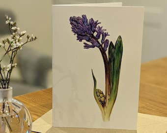 Hyacinth Card / Hyacinth Botanical Card / Blank Floral Greeting Card / Deborah Crago