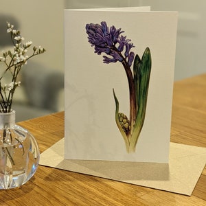 Hyacintkaart / Botanische hyacintkaart / Blanco bloemenwenskaart / Deborah Crago