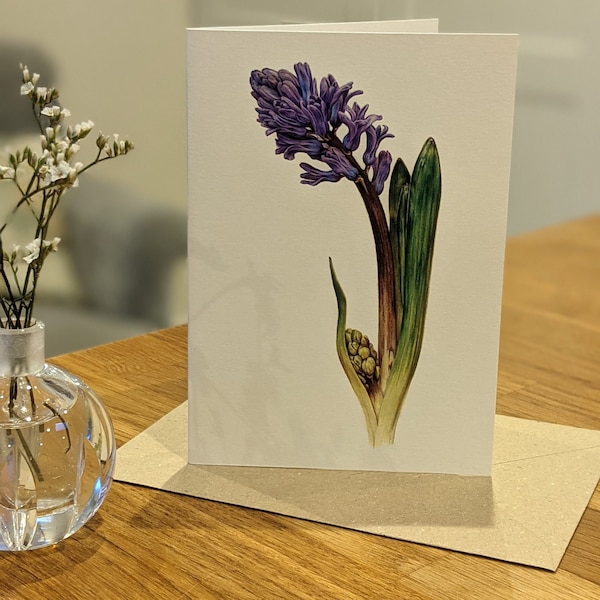 Hyacinth Card / Hyacinth Botanical Card / Blank Floral Greeting Card / Deborah Crago