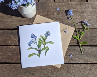 Carte de myosotis / Carte de fleurs botaniques Myosotis / Carte de voeux florale vierge / Deborah Crago