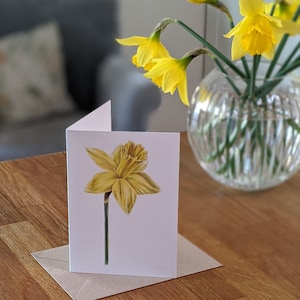 Carte jonquille / Carte floral printanier / Carte florale vierge FSC / Deborah Crago