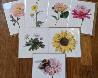 Summer Flower Card Selection / Set of 7 Floral Cards / Summer Flowering Botanical Cards / Summer Botanical Card Pack / Seasonal card pack