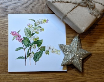 Snowberries Card / Blank Greeting Card / Snowberries Botanical Illustration / Winter Greeting Card / Blank Christmas Card