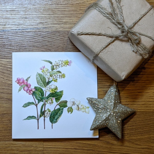 Snowberries Card / Blank Greeting Card / Snowberries Botanical Illustration / Winter Greeting Card / Blank Christmas Card