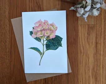 Hydrangea Card / Hydrangea Botanical Flower Card / Blank Floral Card