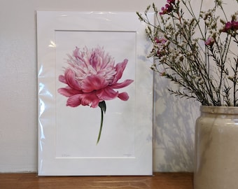 Peony Print / Limited Edition Botanical Print A4 / Giclee Print / Peony Botanical Print / Bowl of Beauty / Peony Print Wall Art