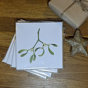 Mistletoe Christmas Cards - Pack of 4 Botanical Cards with Charity Donation / Charity Christmas Cards / Winter Greeting Cards / Blank cards