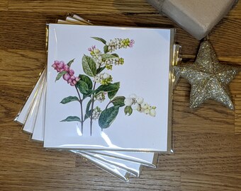 Snowberries Blank Greeting Cards - Pack of 4 Botanical Cards / Winter Greeting Cards / Blank Botanical Christmas Cards / Deborah Crago