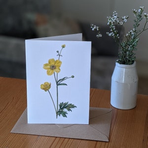 Buttercup Karte / Buttercup botanische Blumenkarte / Florale Karte / FSC Blanko Karte / Deborah Crago