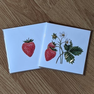 Strawberry Card / Strawberry Plant / Strawberry flower Card / Strawberry Botanical illustration / Blank FSC Card with Recycled envelope image 10