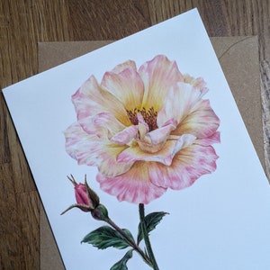 Rose Card / Rose Botanical Flower Card / Blank Card / Peace Rose Greeting Card / Deborah Crago image 4
