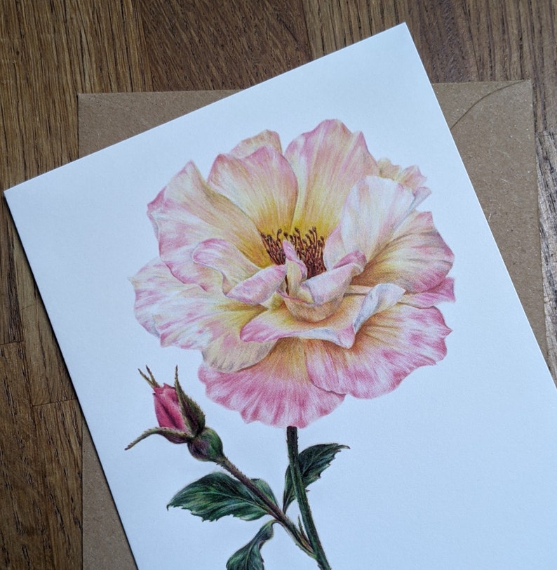 Rose Card / Rose Botanical Flower Card / Blank Card / Peace Rose Greeting Card / Deborah Crago image 4