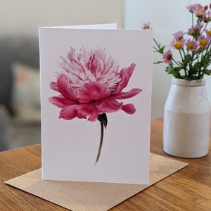 Peony Card / Peony Botanical Flower Card / Blank Card / Bowl of Beauty Peony / Deborah Crago image 5