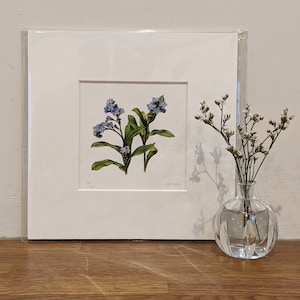 Forget-Me-Not Print / Forget -Me-Not Limited Edition Botanical Print / Valentine Gift / Wedding Gift / Giclée Print / Floral Print