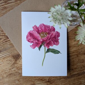 Pioenkaart / Botanische bloemenkaart pioenroos / Blanco kaart / Paula Fay Peony / Deborah Crago