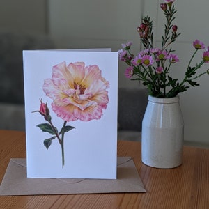 Karta z różą / Karta z botanicznym kwiatem róży / Pusta karta / Karta z pozdrowieniami Peace Rose / Deborah Crago
