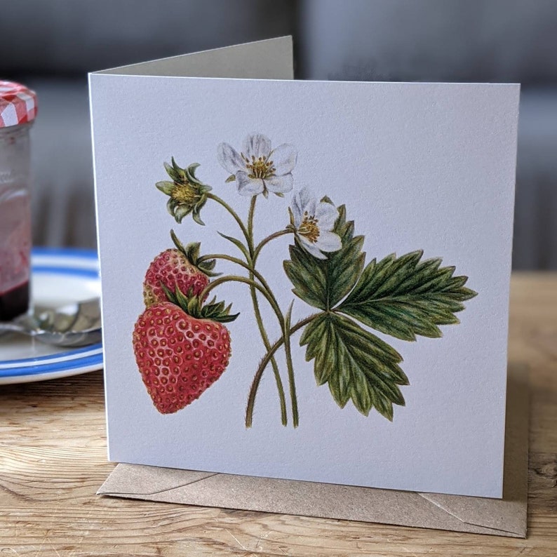 Strawberry Card / Strawberry Plant / Strawberry flower Card / Strawberry Botanical illustration / Blank FSC Card with Recycled envelope image 3