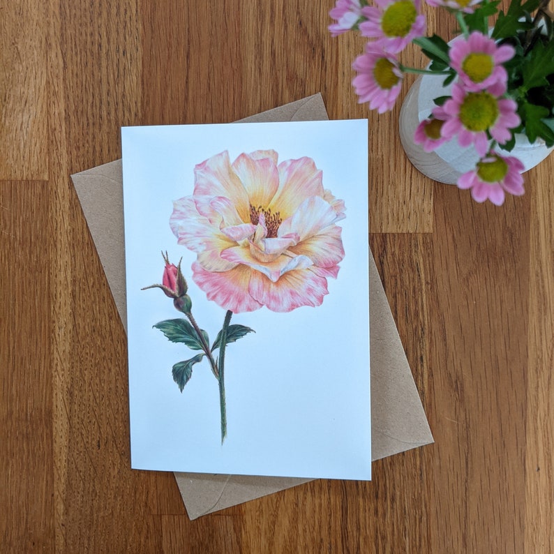 Rose Card / Rose Botanical Flower Card / Blank Card / Peace Rose Greeting Card / Deborah Crago image 3