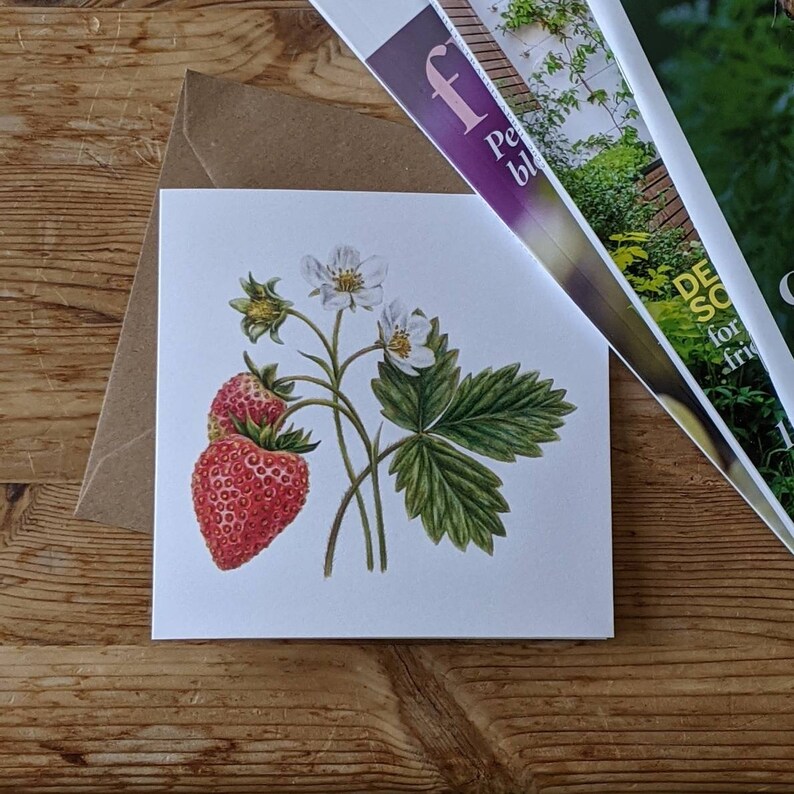 Strawberry Card / Strawberry Plant / Strawberry flower Card / Strawberry Botanical illustration / Blank FSC Card with Recycled envelope image 5