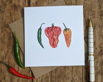 Carte de piment / Carte de voeux de piment / Carte botanique de piment fort / Carte de voeux FSC vierge avec enveloppe recyclée