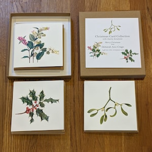 Eco Box of 12 Charity Christmas Cards /  Botanical Christmas Card Collection / Box of Cards / Winter Greeting Cards / FSC Blank Cards